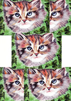 Carte Postale : Le Chat Farnaz
