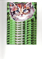 Carte Postale : Le Chat Farnaz