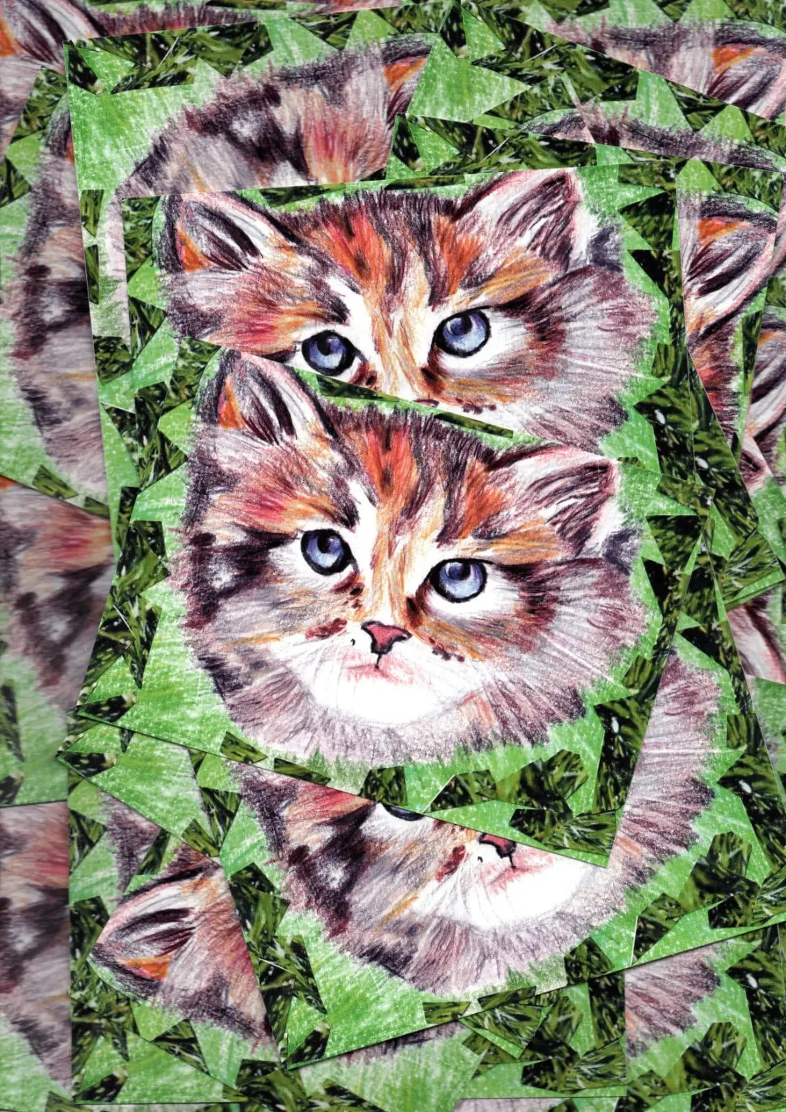 Carte Postale : Le Chat Farnaz