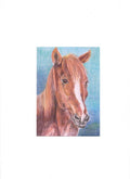 Carte postale : Le Cheval Farnaz