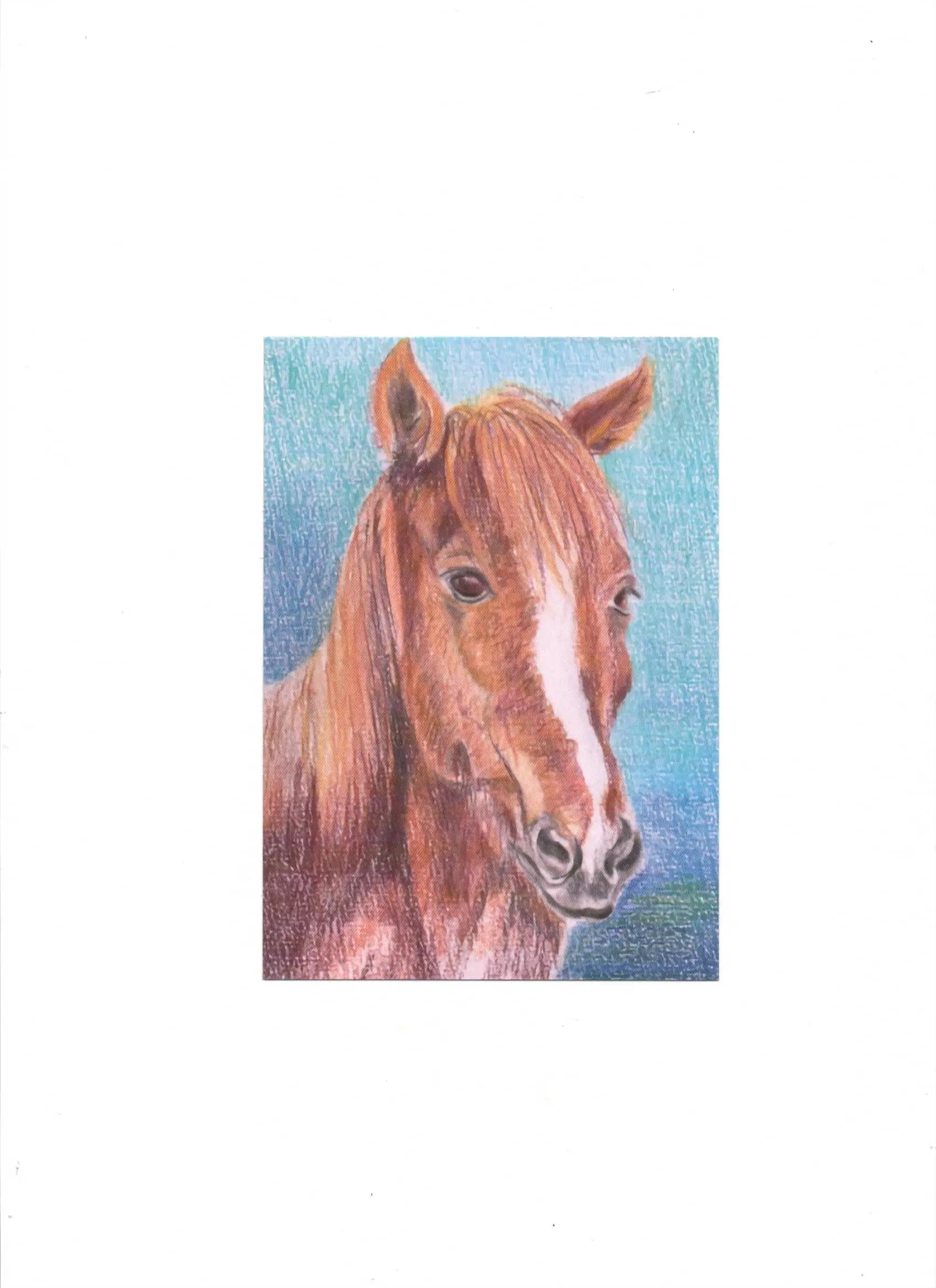 Carte postale : Le Cheval Farnaz
