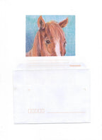 Carte postale : Le Cheval Farnaz