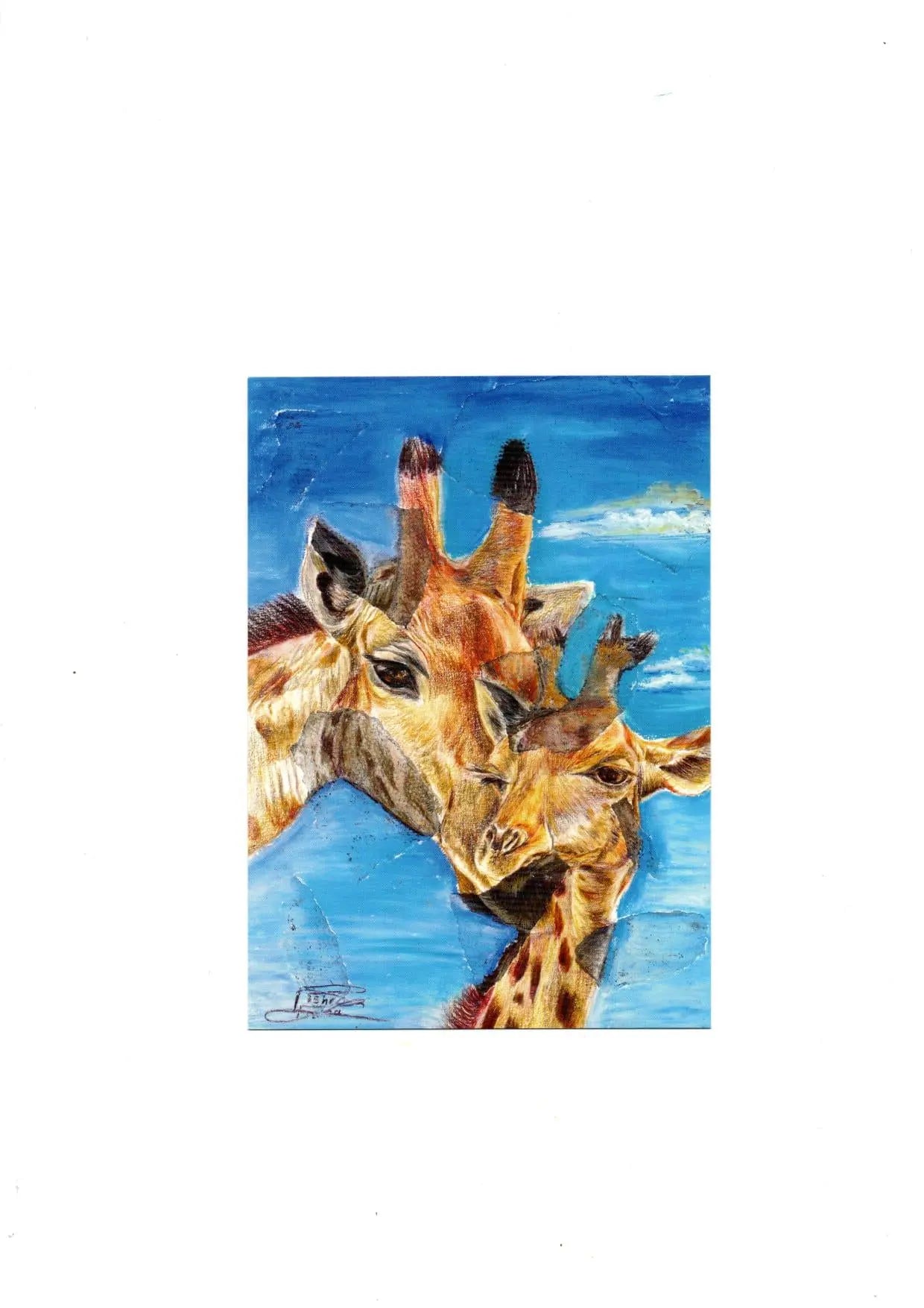 carte postale : Les Girafes Farnaz