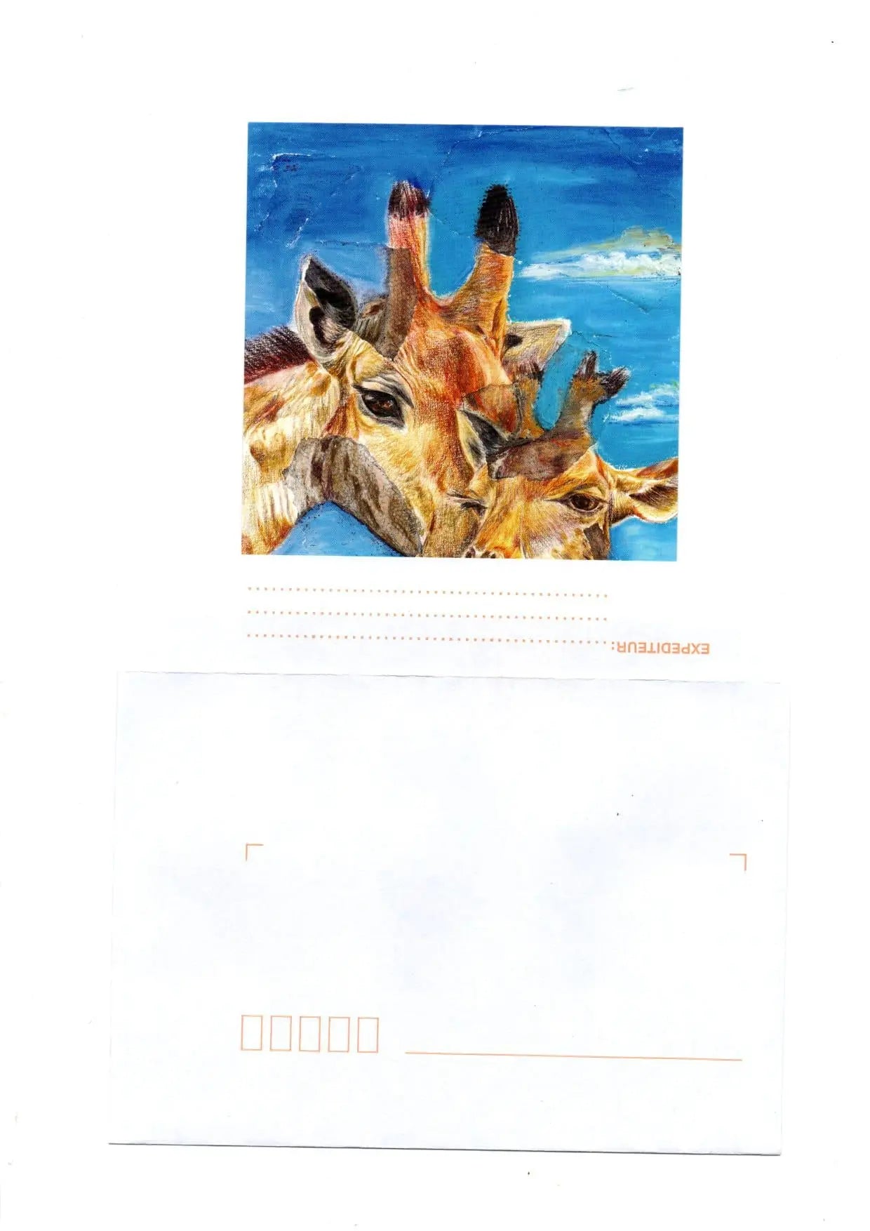 carte postale : Les Girafes Farnaz