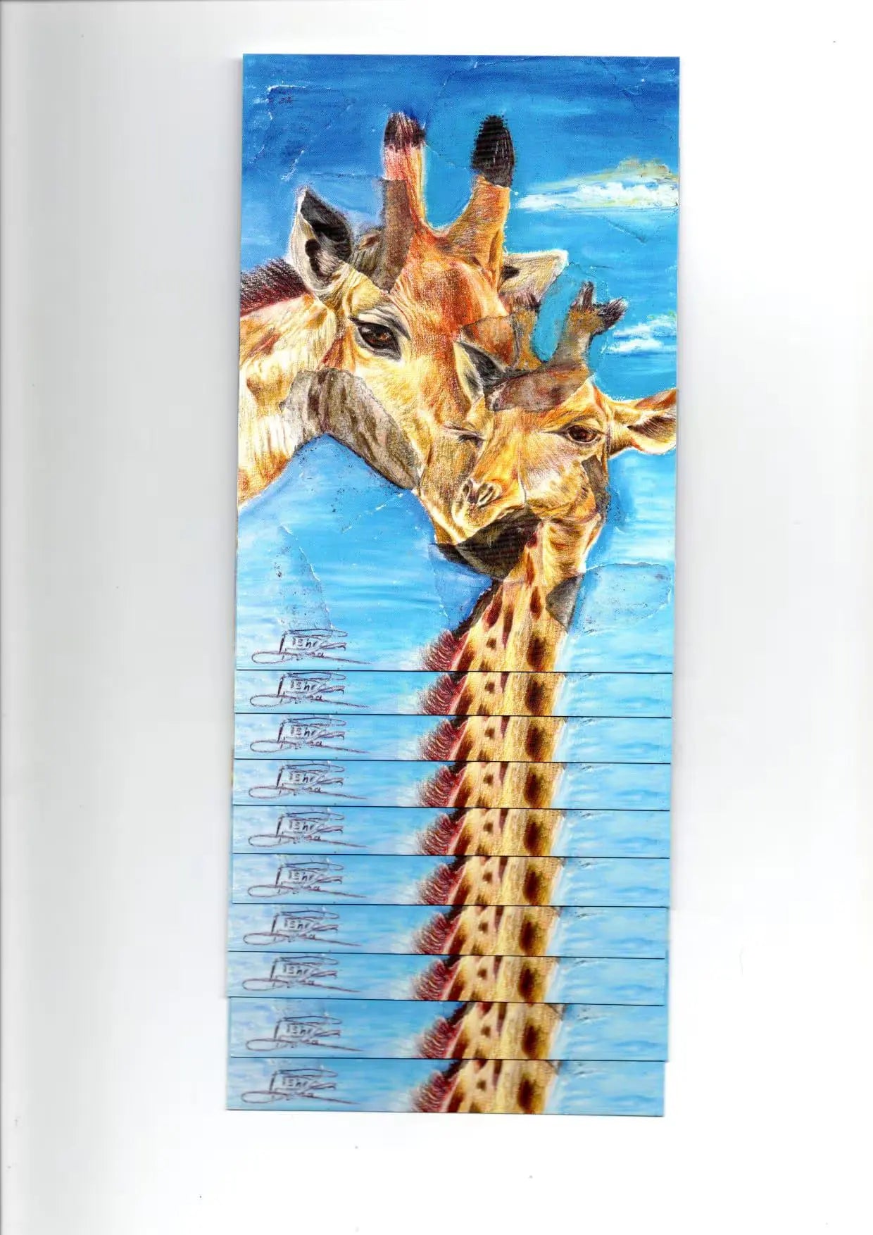 carte postale : Les Girafes Farnaz