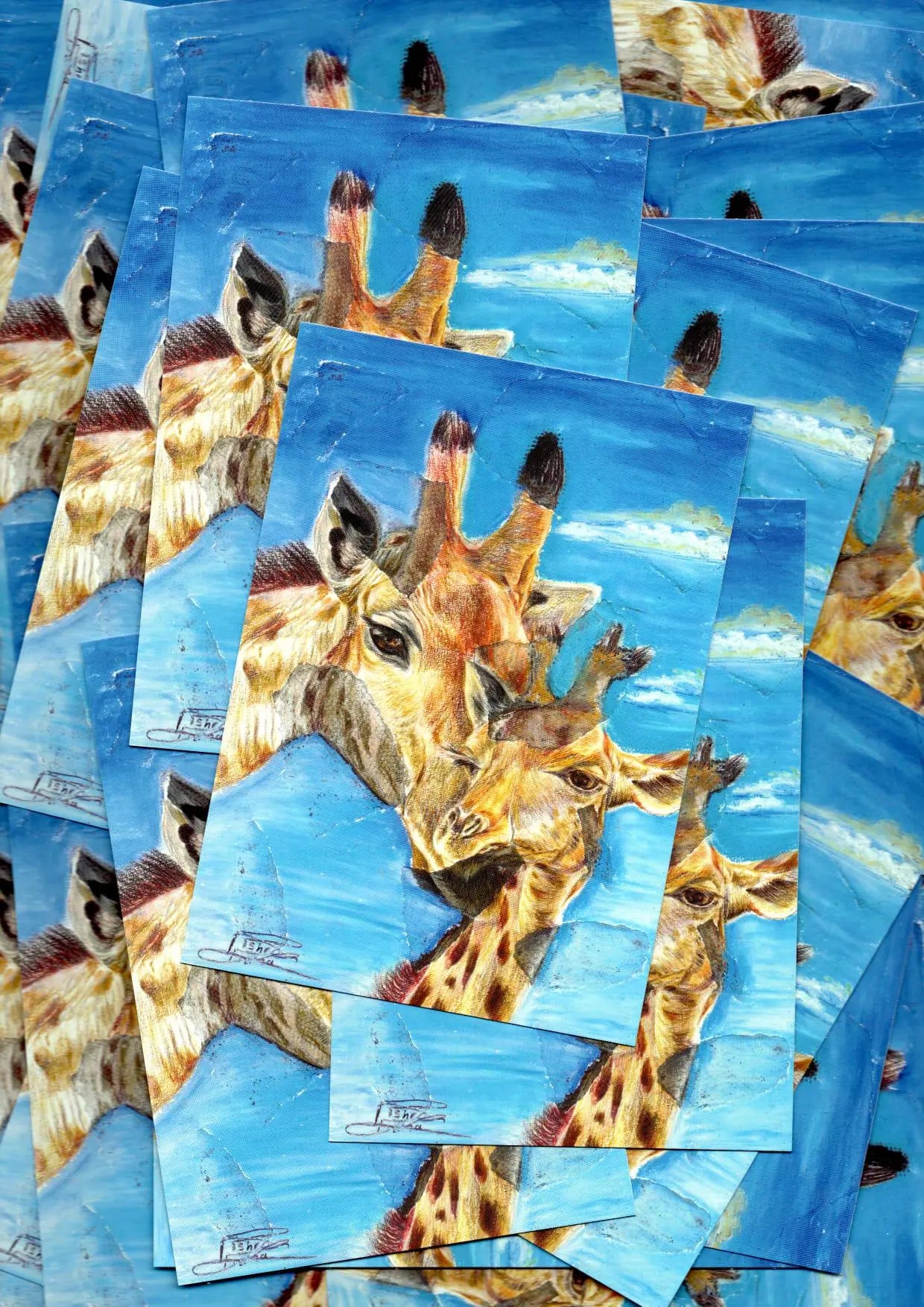 carte postale : Les Girafes Farnaz