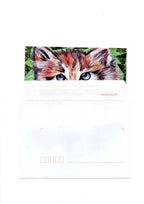 Carte Postale : Le Chat Farnaz