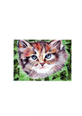 Carte Postale : Le Chat Farnaz