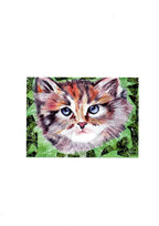 Carte Postale : Le Chat Farnaz