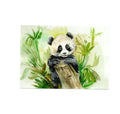 Carte postale : Le Panda Farnaz