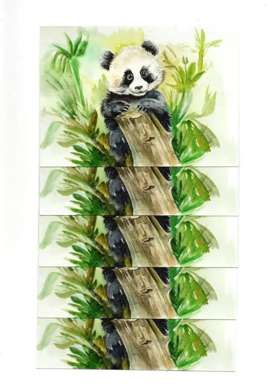 Carte postale : Le Panda Farnaz